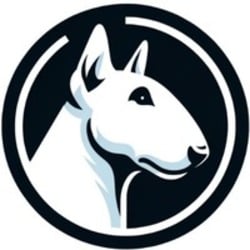 BullBar